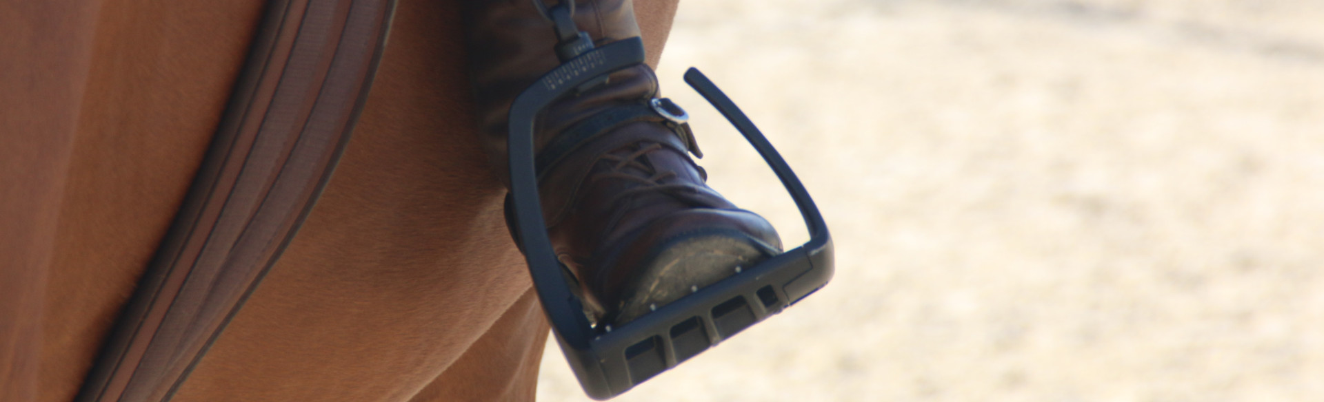 CREATOR: gd-jpeg v1.0 (using IJG JPEG v62), quality = 82